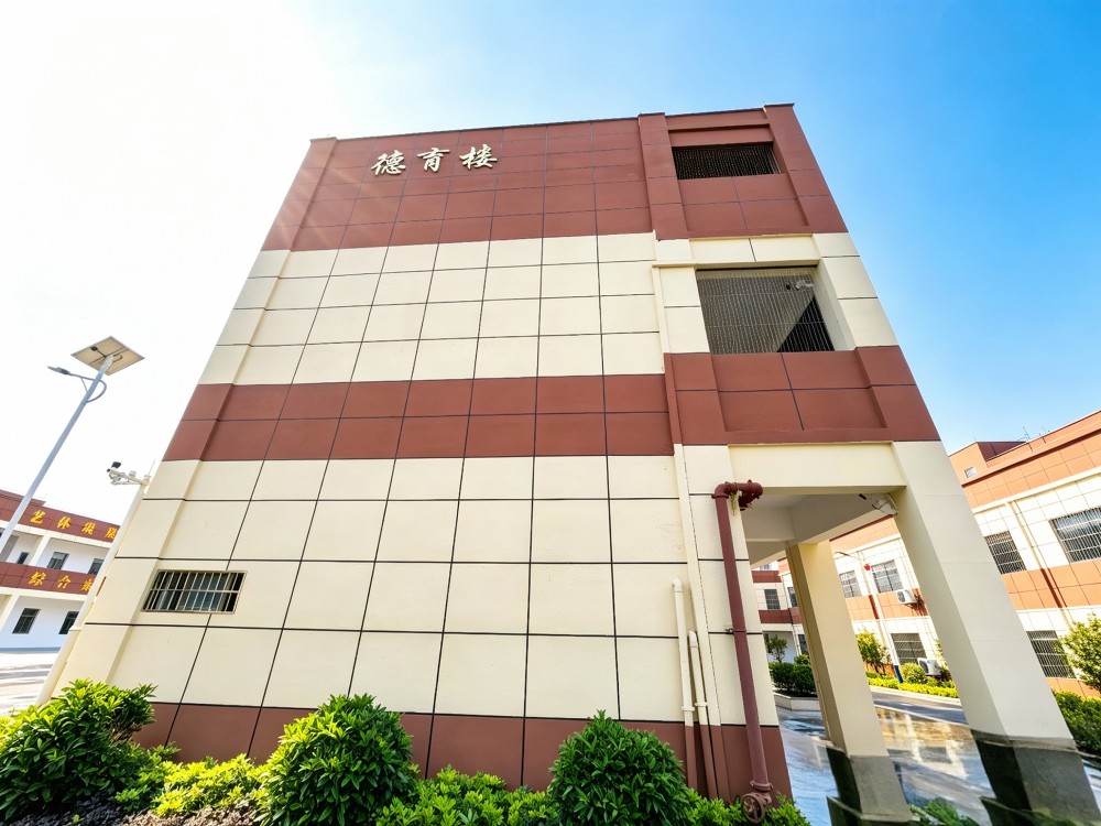 2026年当前茂名叛逆青少年教育学校有哪些