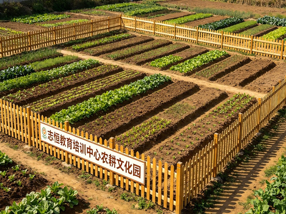 2026精选茂名可靠的叛逆孩子管教学校深度解读——志恒教育学校如何重塑青春期成长轨迹