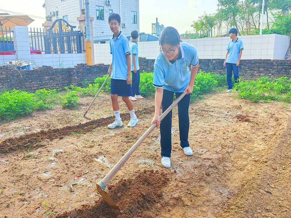 茂名正规叛逆青少年专门教育学校具体位置在哪